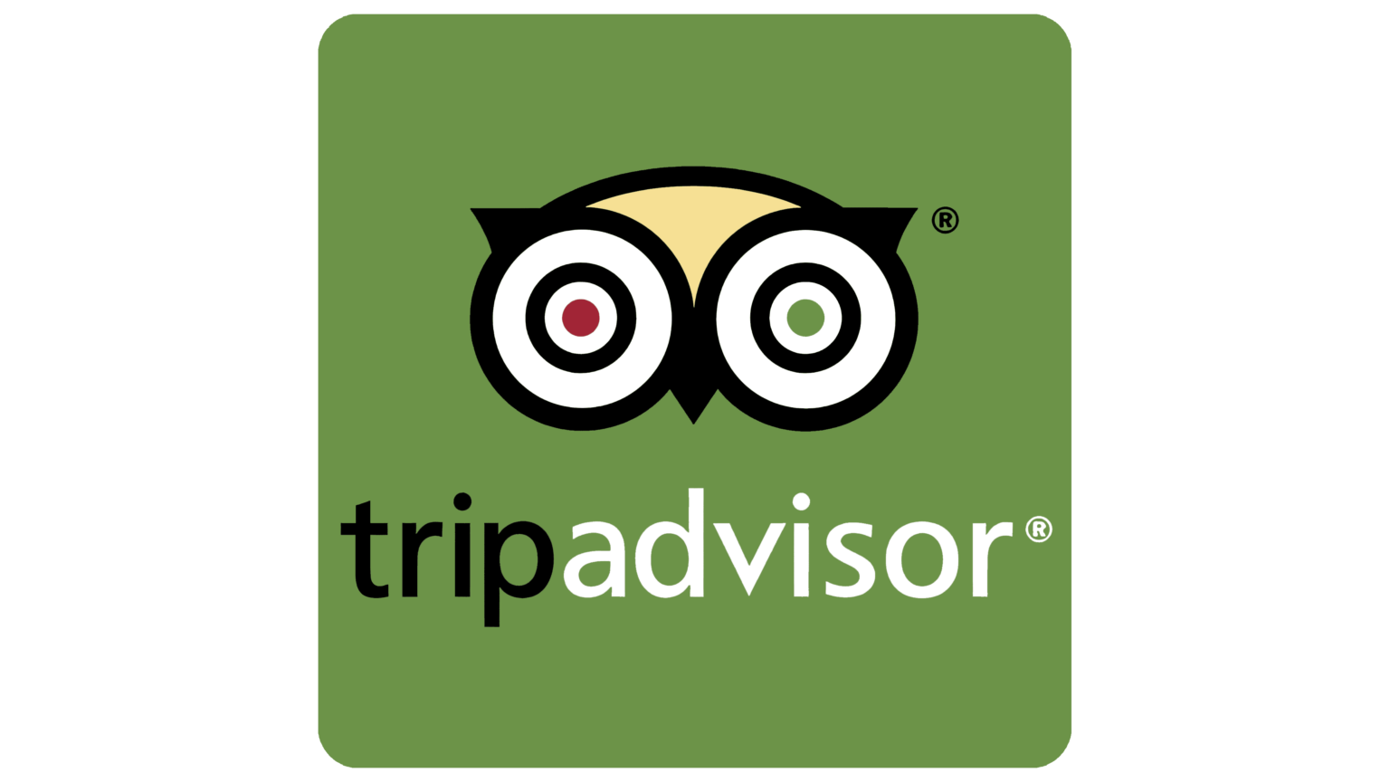 About Us Epic Transfers & Tours